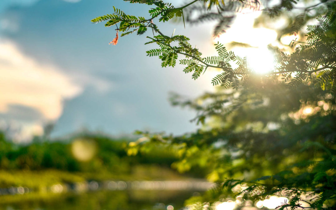Emploi : école militaire préparatoire technique
