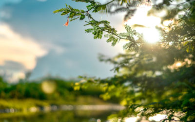 Emploi : école militaire préparatoire technique