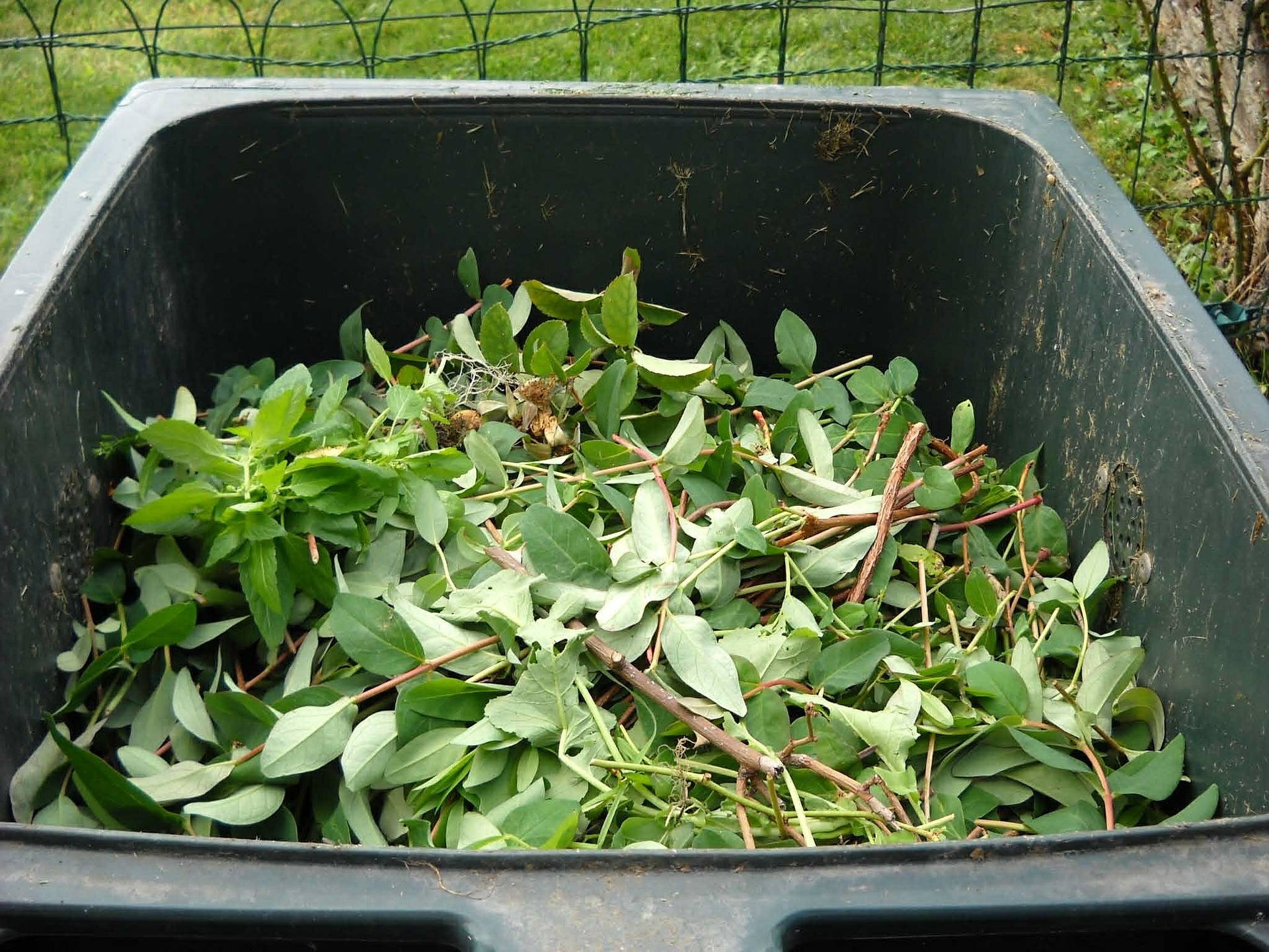 déchets verts