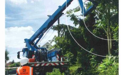 Elagage – Règles et Responsabilités