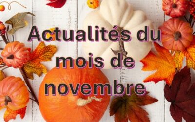 Actualités du mois de novembre