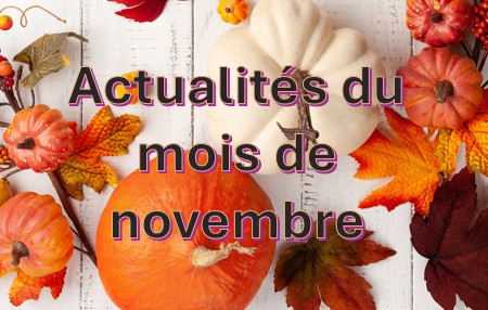 Actualités du mois de novembre